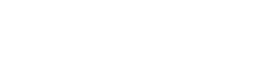 Gurulog